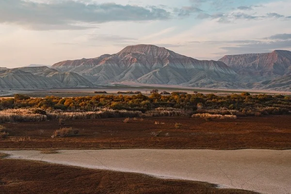 c7娱乐真人娱乐